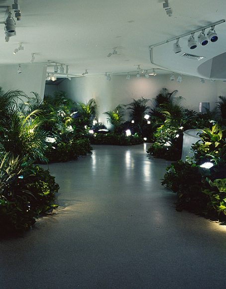 Tv Garden 1974, Nam June Paik